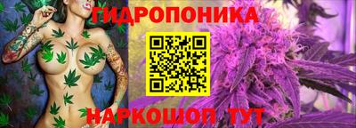 марихуана Кингисепп